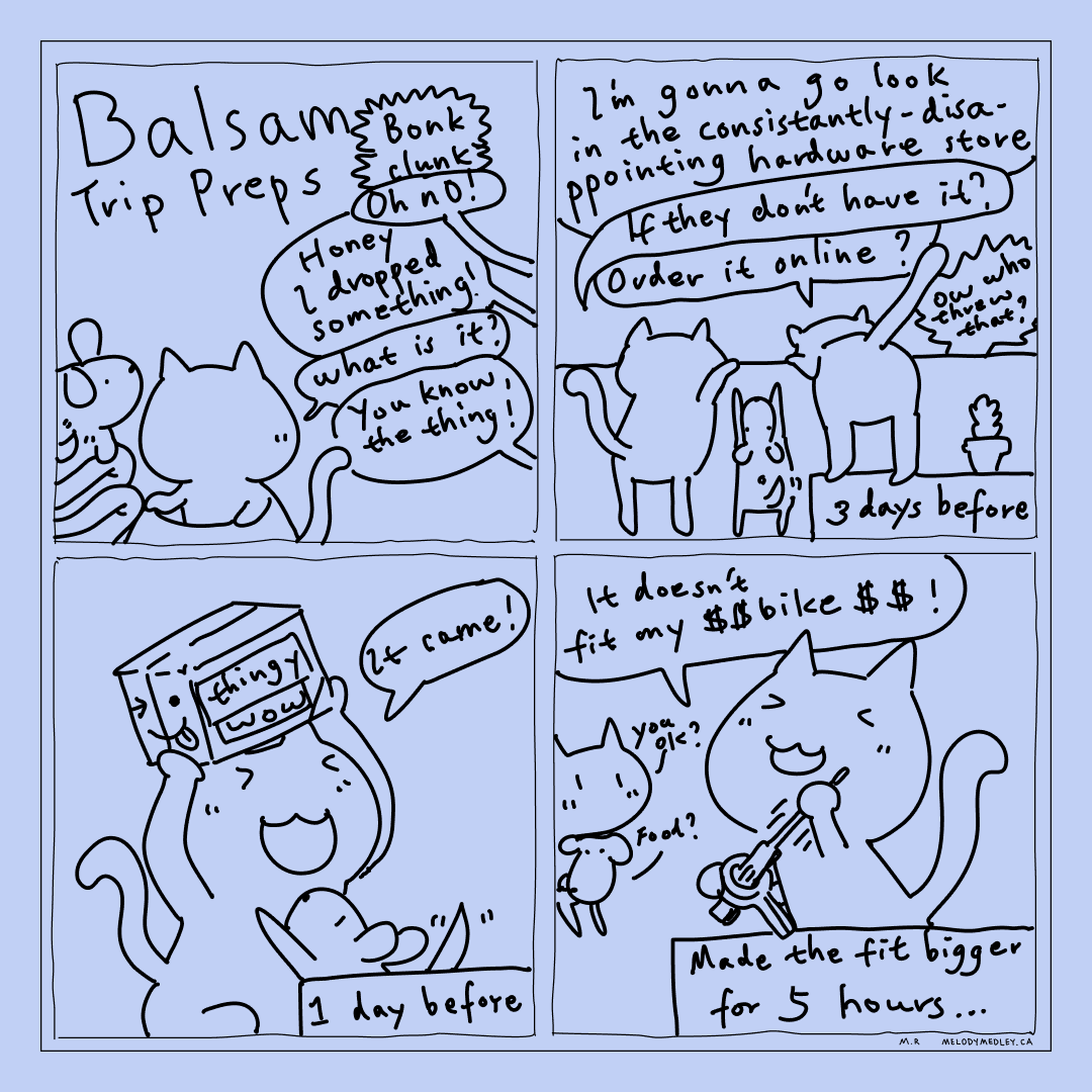 Almost had to cancel the plans due to not being able to attach the trailer to the bike