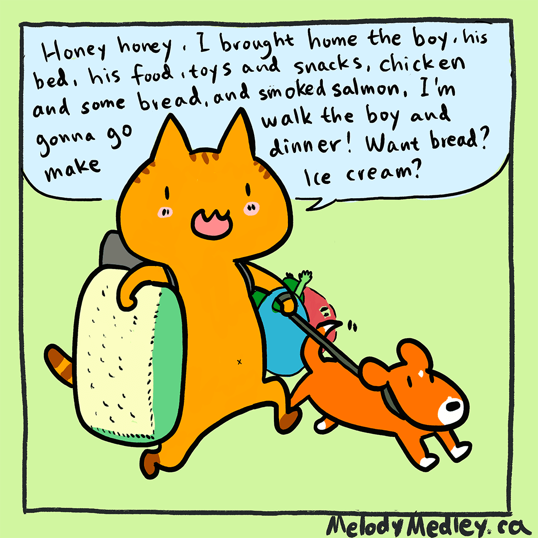 Feels like he never left