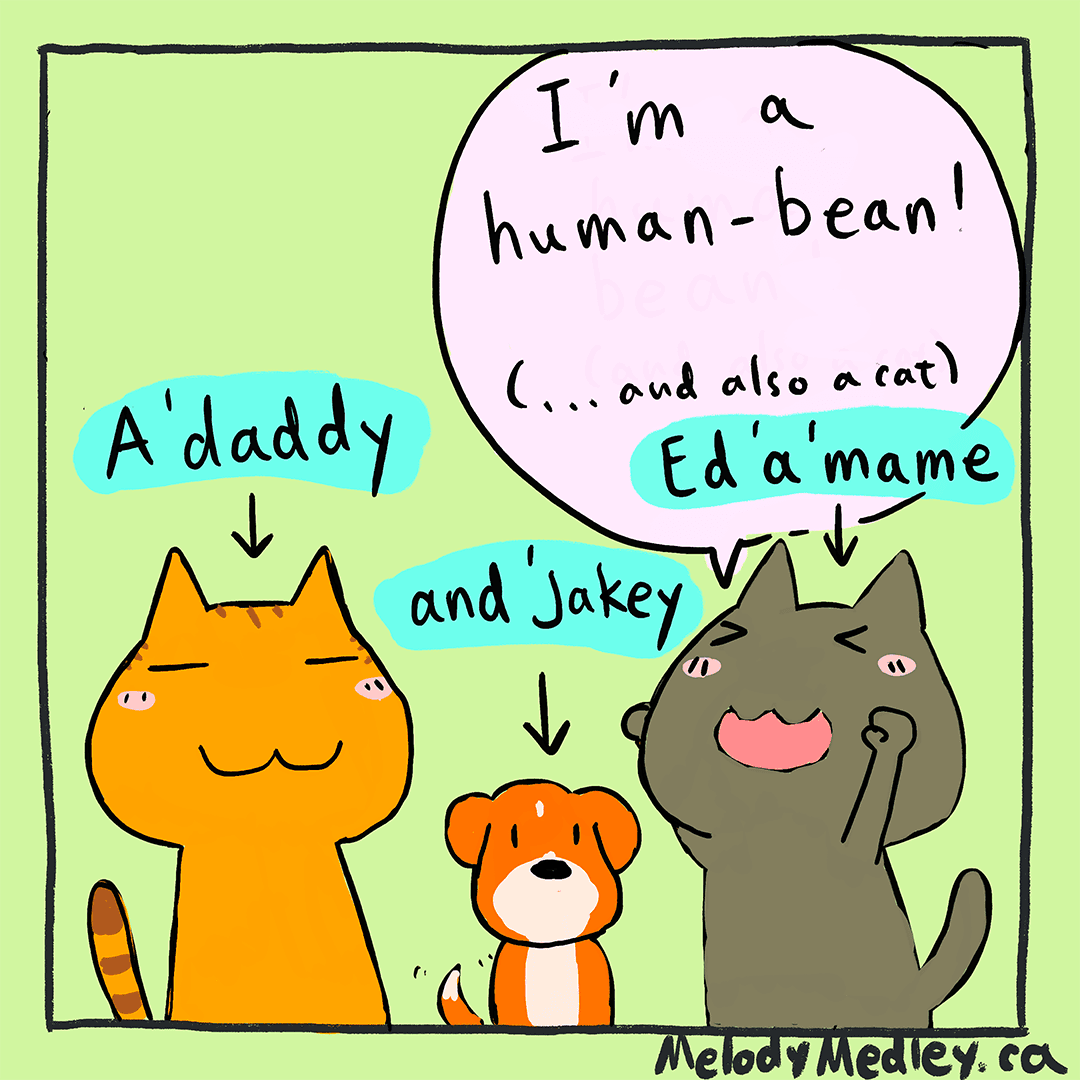 To bean or not to bean?