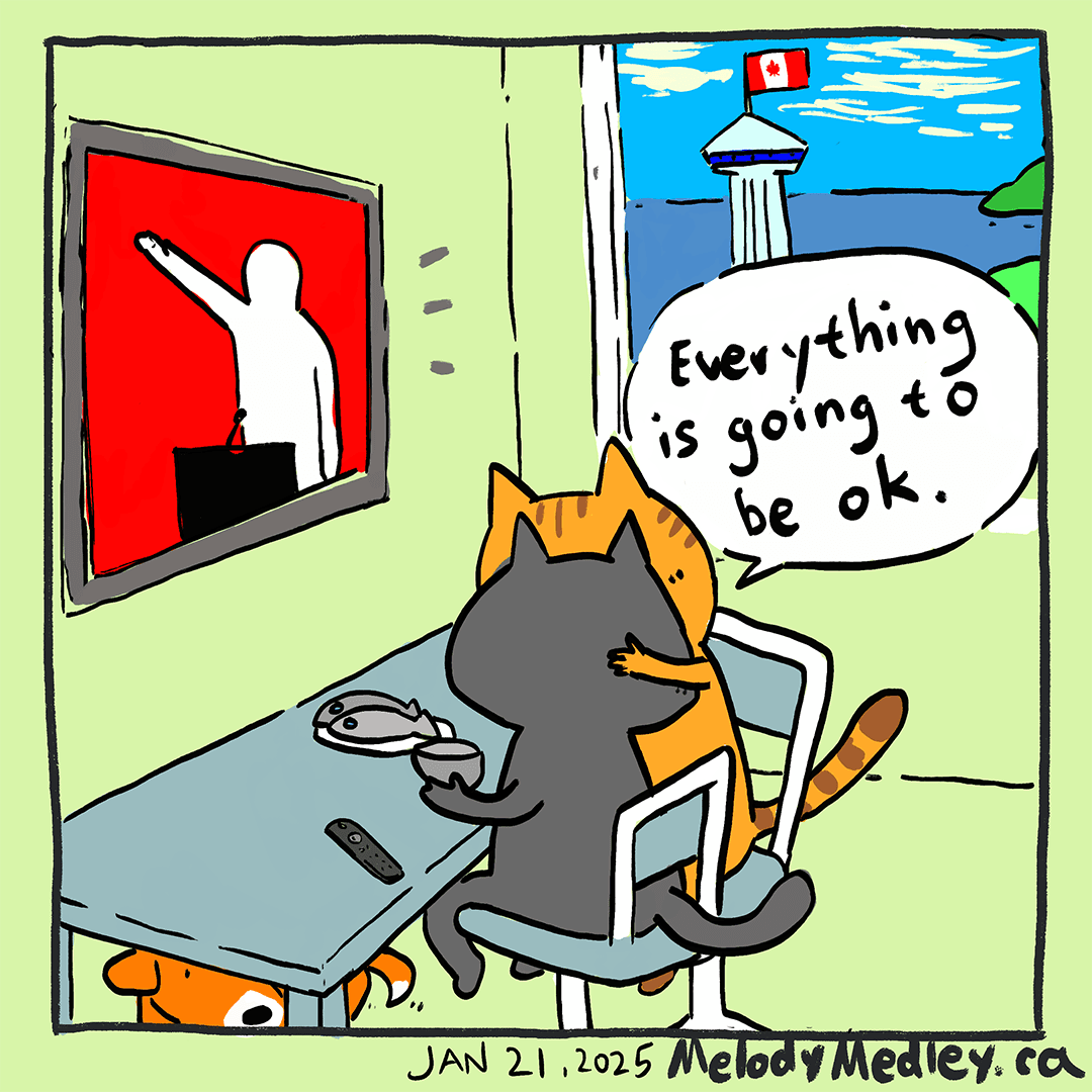 What can possibly go wrong?