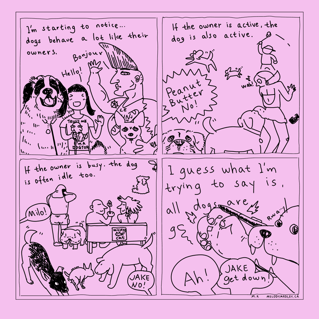 Stop pooping in the middle of the road