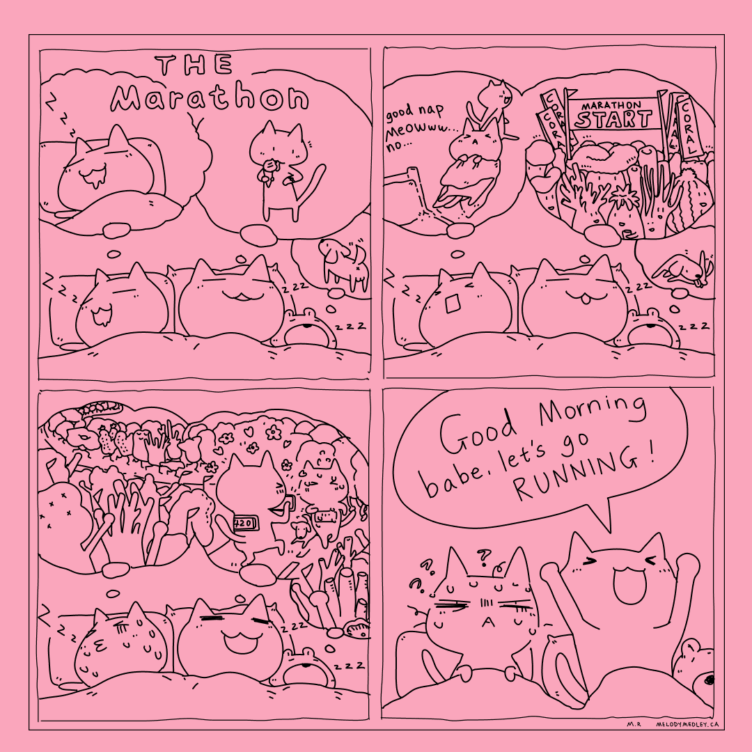 Am I qualifying for the Boston Marathon?