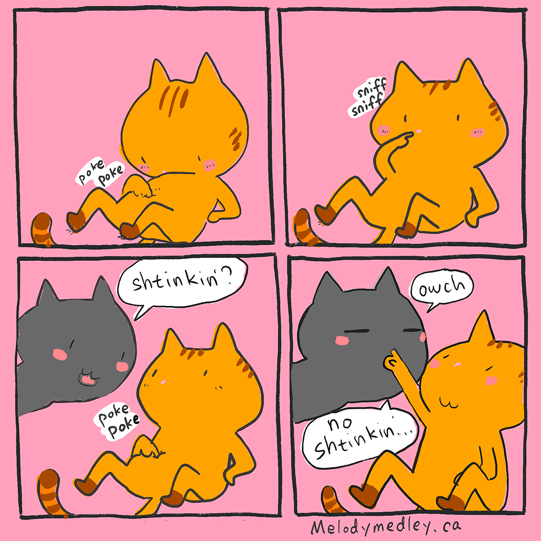 The fake hole is not stinking