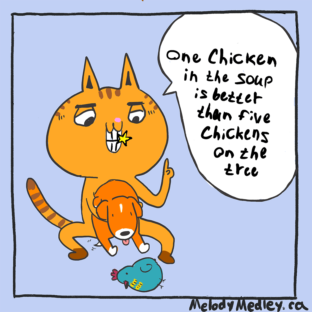 Once you go Silkie black, you never go back