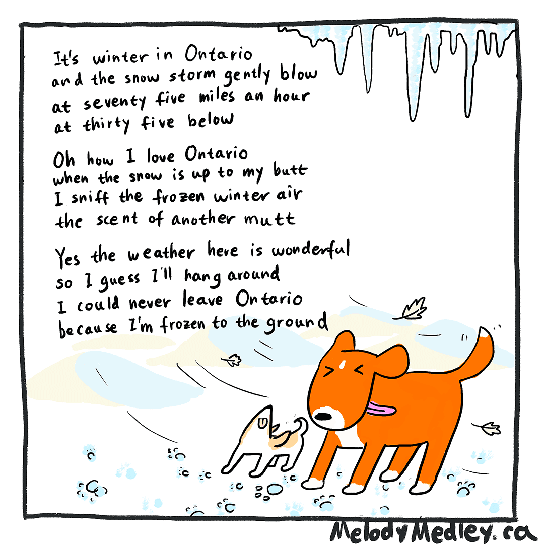 Jakey loves diving into the snow