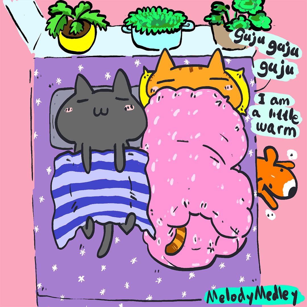 Guju guju guju... I am a little warm...