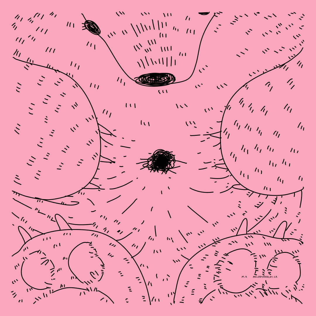 And just like that, one day, Roman realized that somebody gave him a Fake Hole