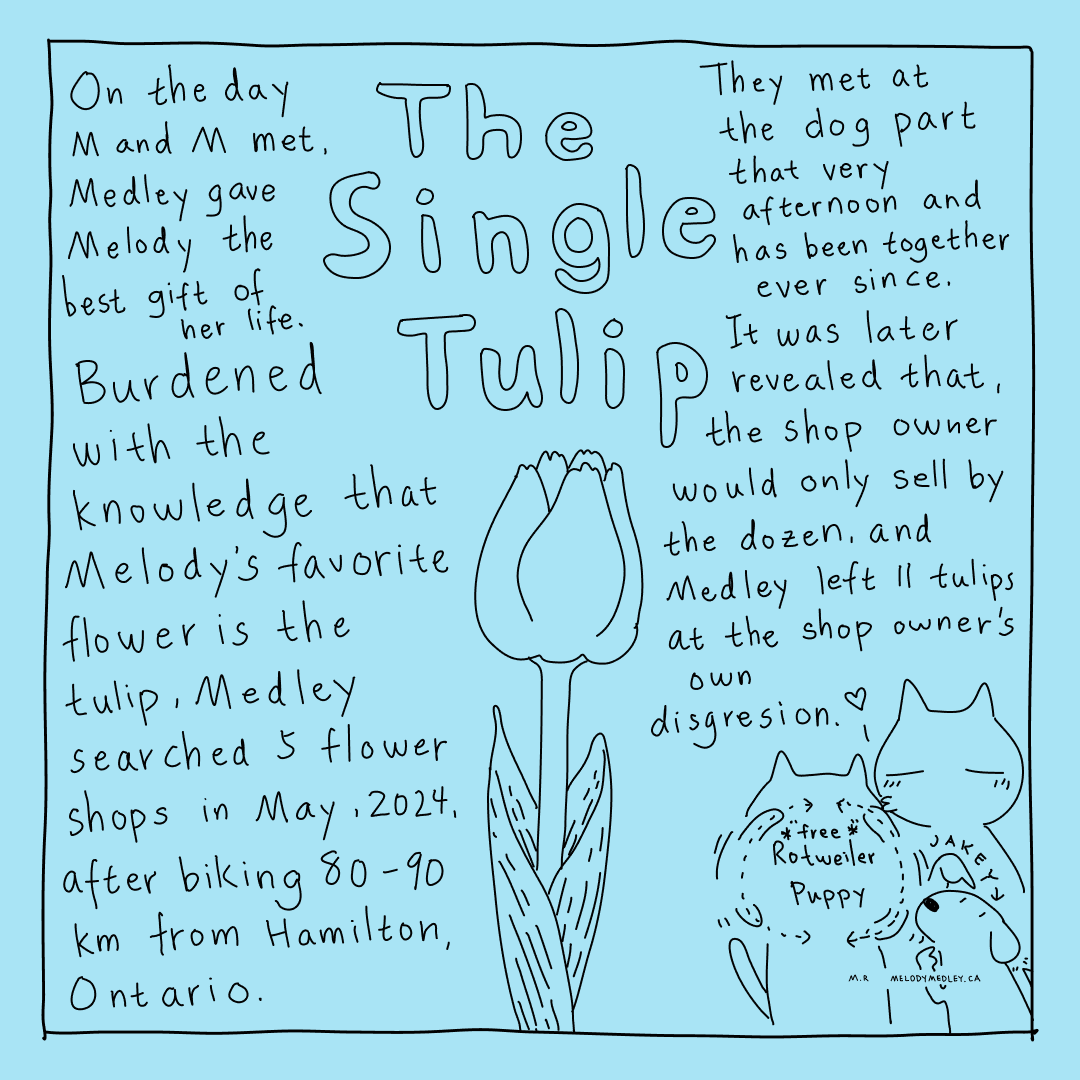 Without the tulip this comic may not exist