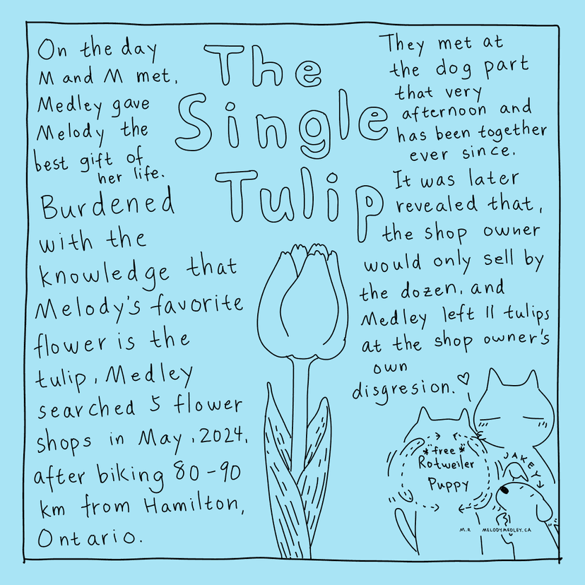 Without the tulip this comic may not exist