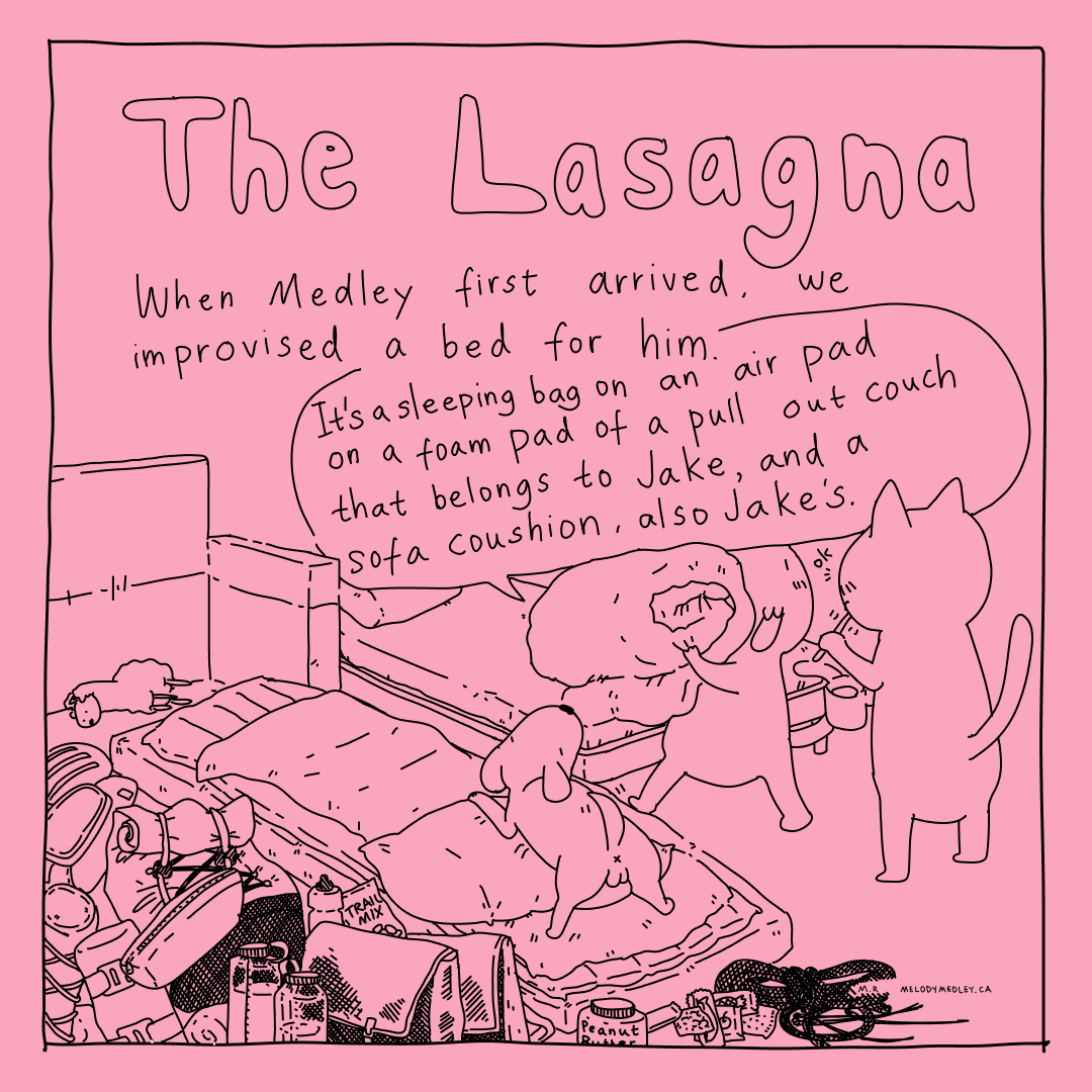 Much better than sleeping in the woods