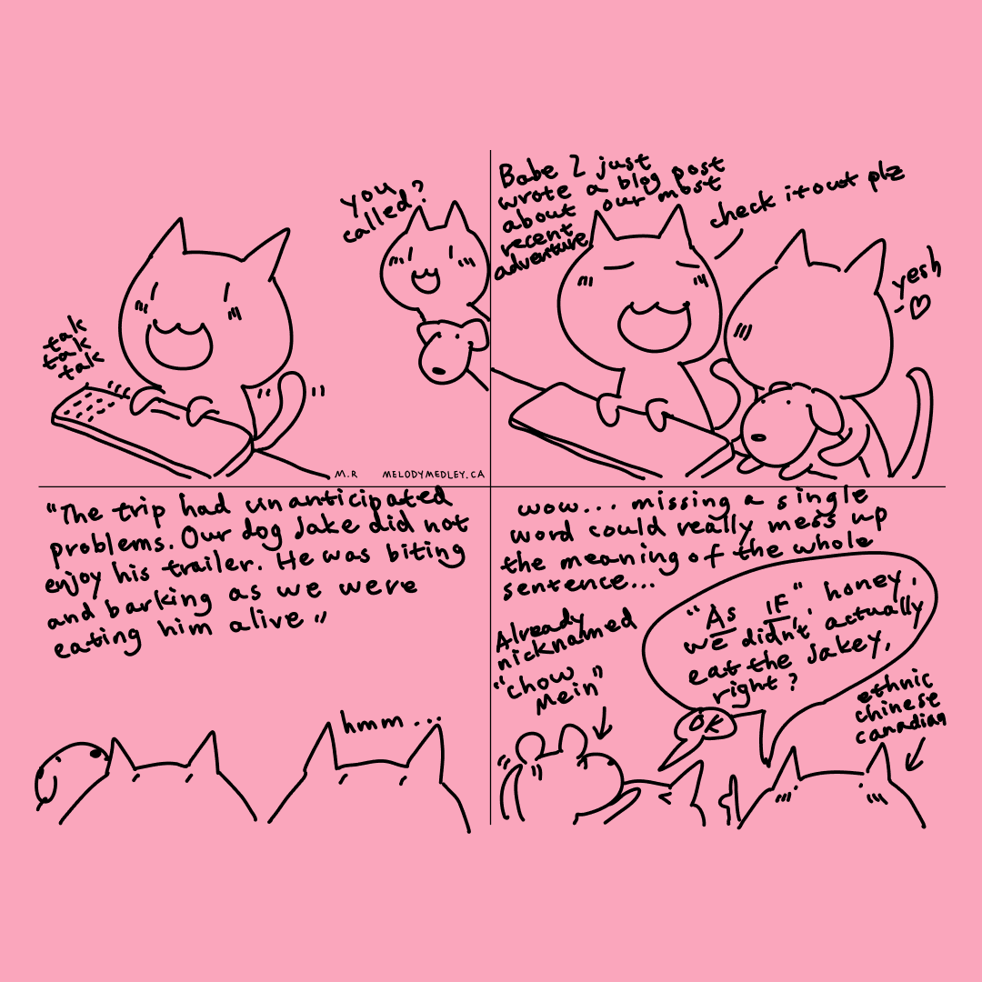 If Jakey will be a bad boy we will eat chow mein for dinner tonight