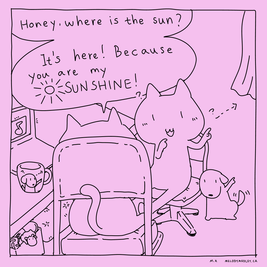 "If it's gloomy and the sun is hiding, how long will it take you to stop shining?" - Medley