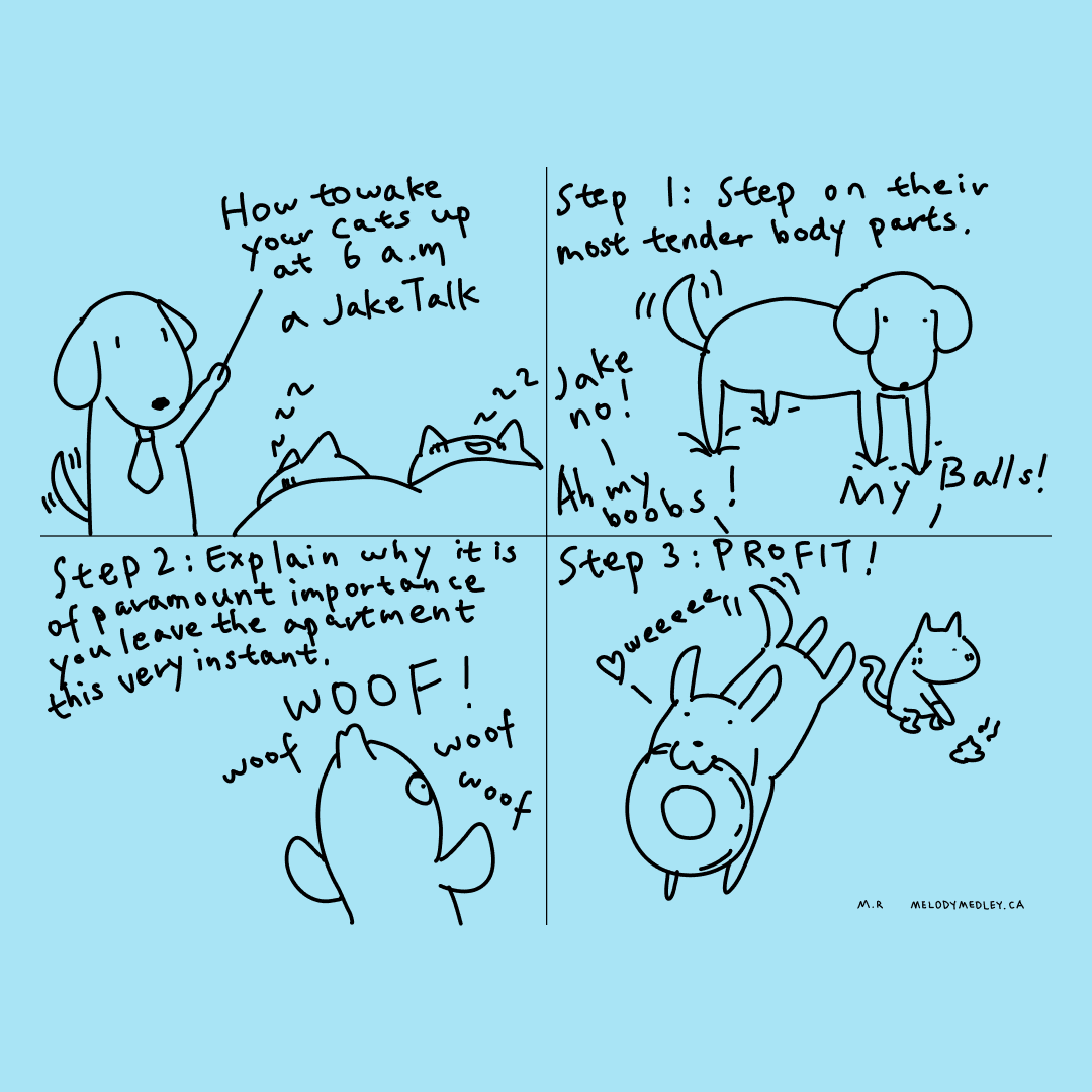 Next time I will teach you how to get an infinite amount of snacks