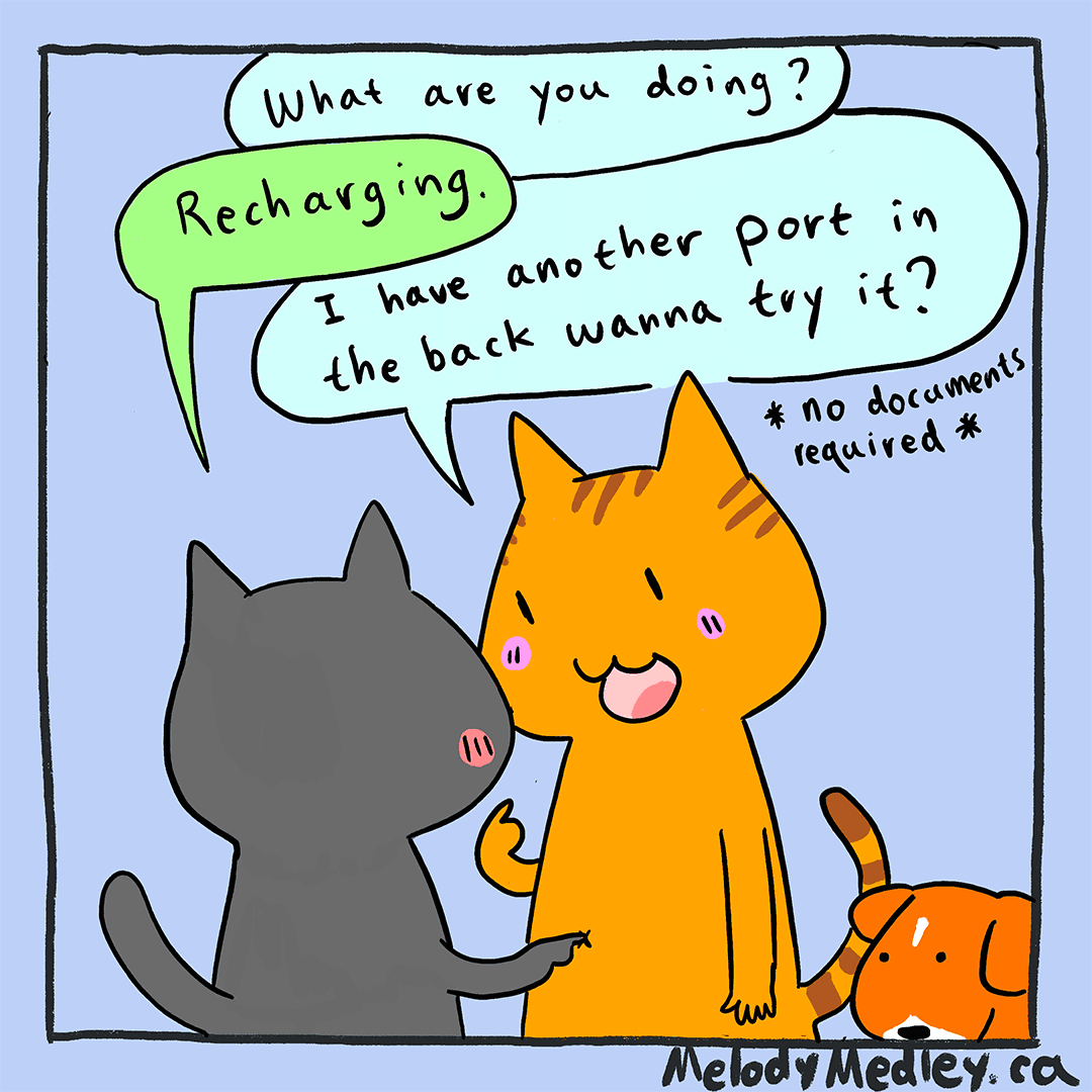 Should I plug it into the fake hole or the black hole?